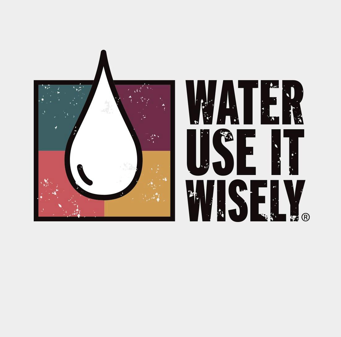 Water—Use it Wisely