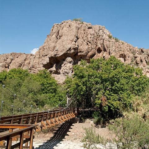 Boyce Thompson Arboretum State Park