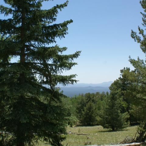 The Arboretum at Flagstaff