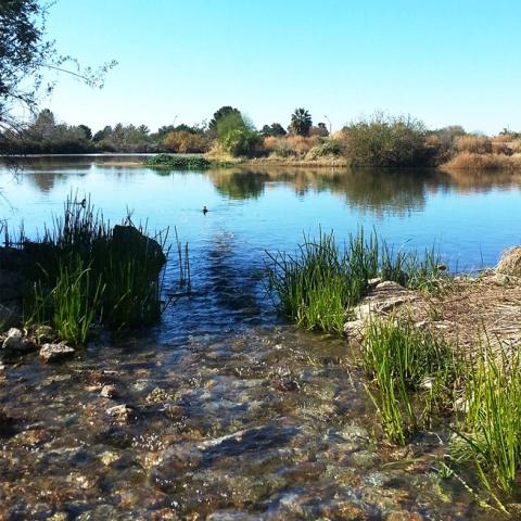 Gilbert Riparian Preserve