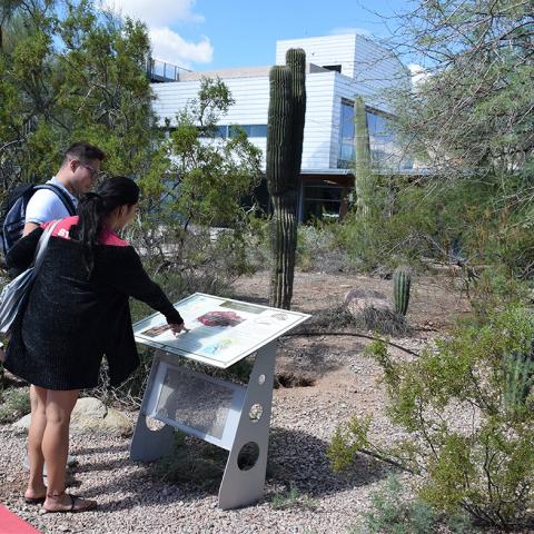 Mesa Community College Xeriscape Garden