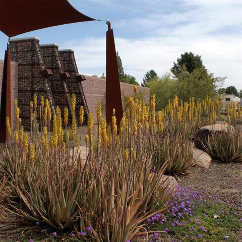 Scottsdale Xeriscape Garden at Chaparral Park