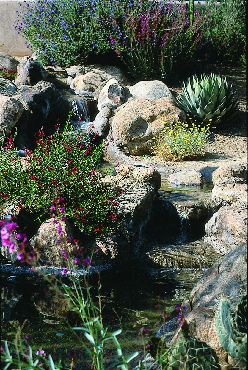 Waterfall with xeriscape