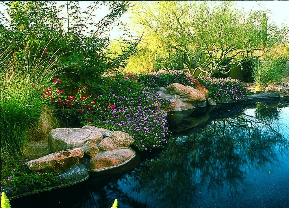 Xeriscaping along the water 