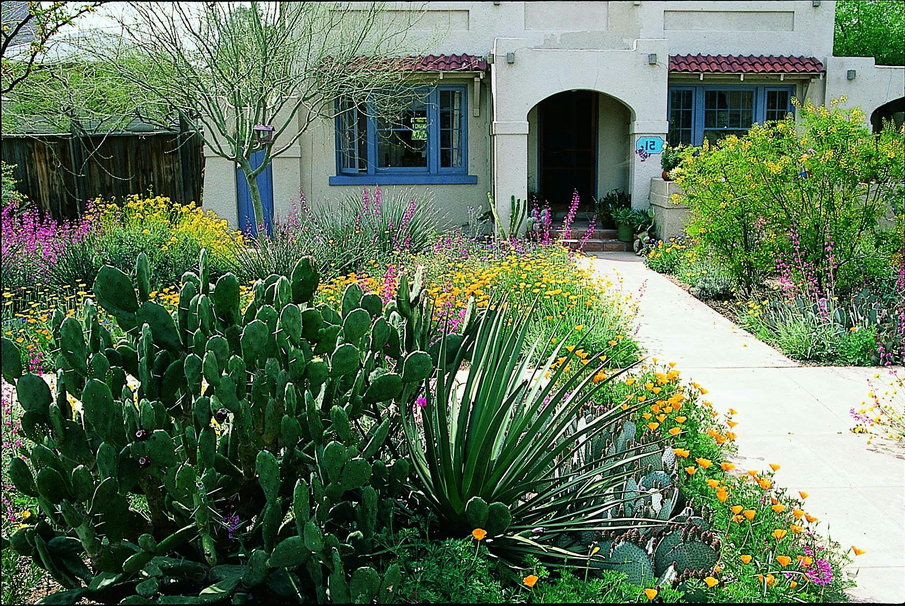 Xeriscaped front yard