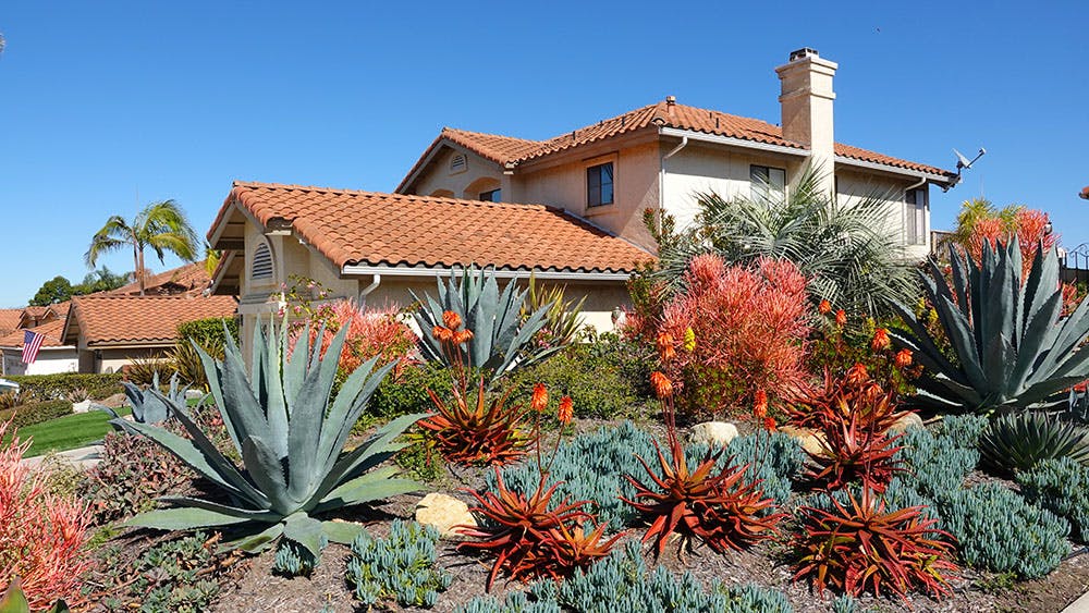 Xeriscaping, side yard 