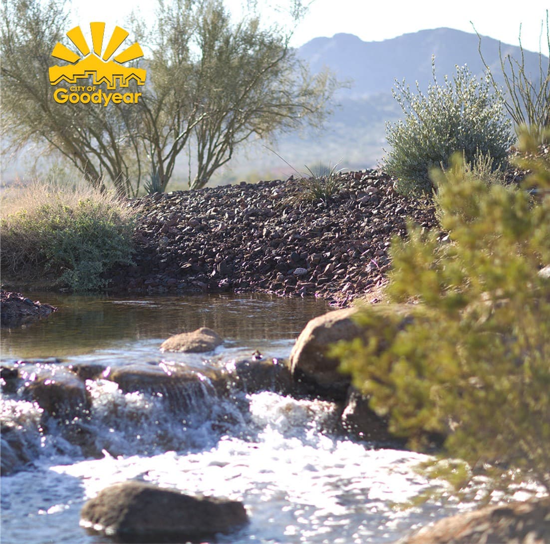 Goodyear Joins AMWUA