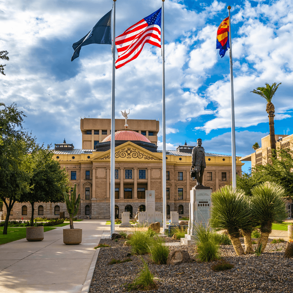 AMWUA Team collaborating