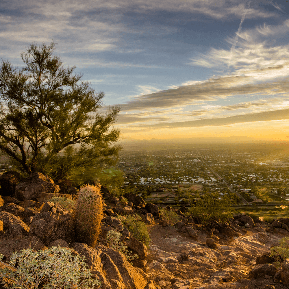 AMWUA Team collaborating