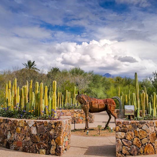 Demonstration Gardens