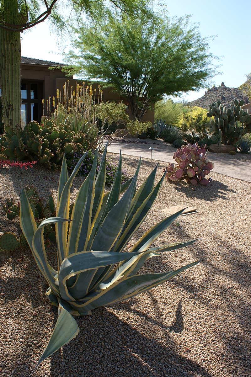 Good Planning and Design