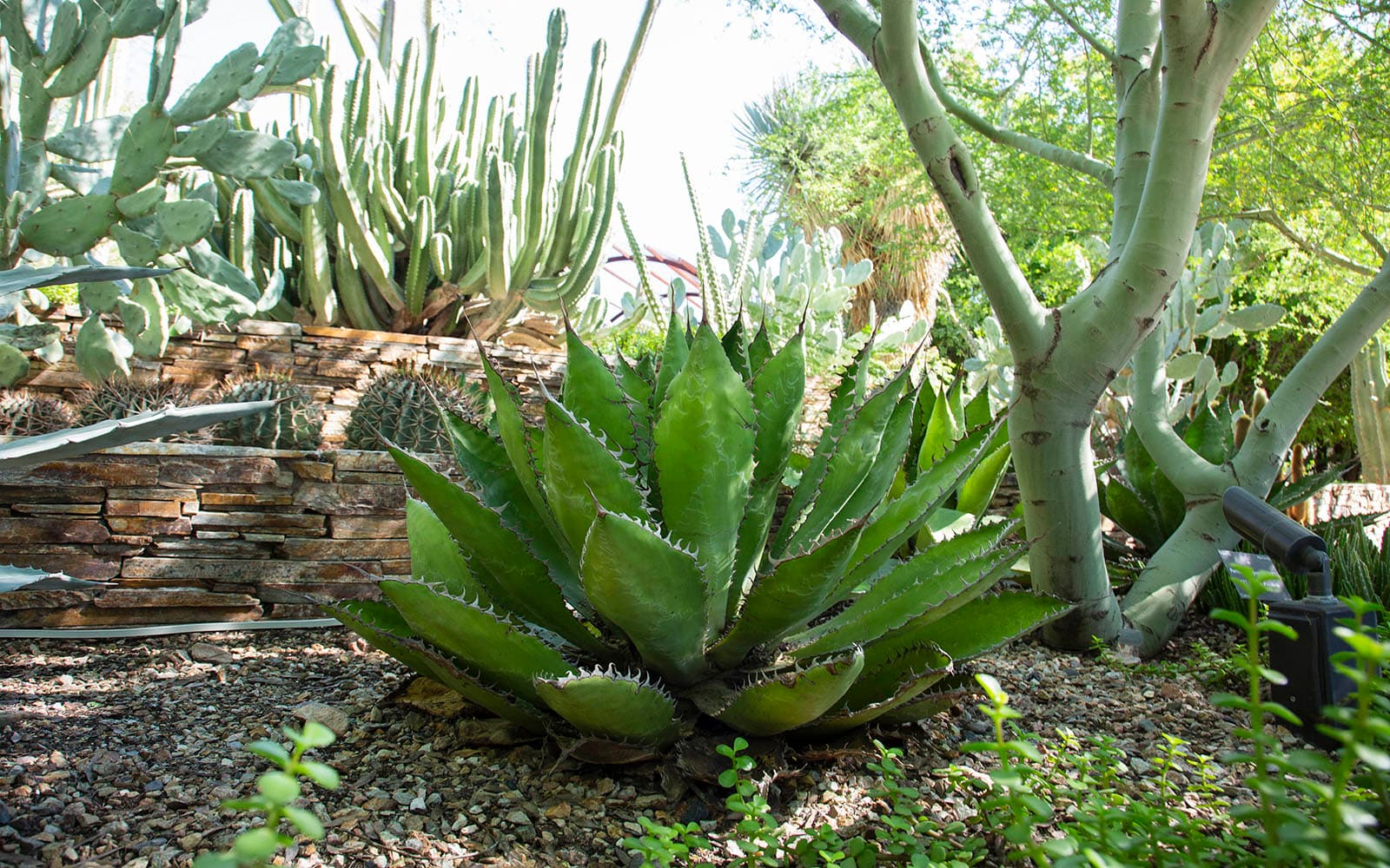 Landscaping with Style