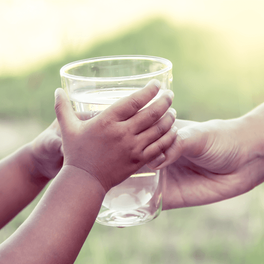 Conservation Teachers