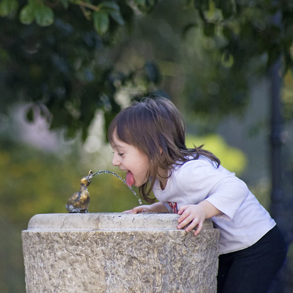 Blog Image Sample