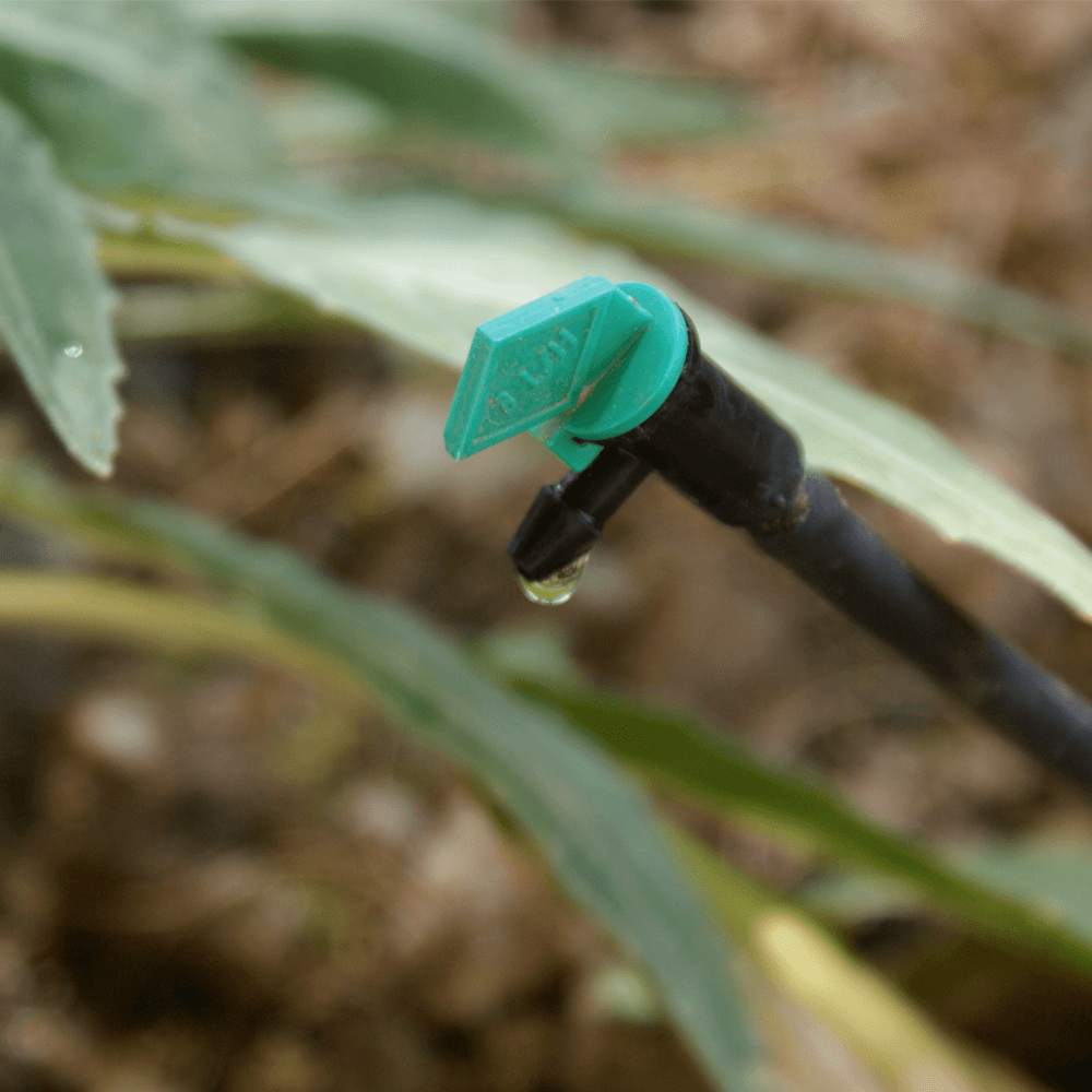 Blog Image Sample