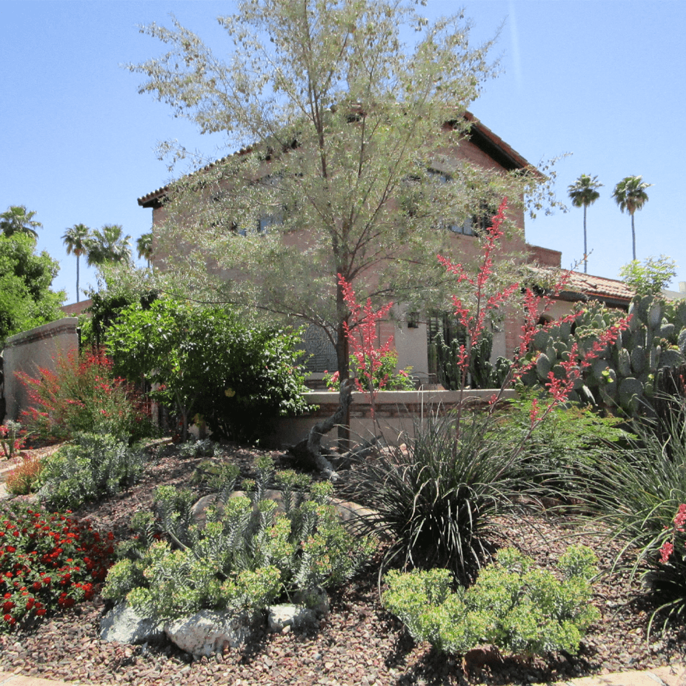 Blog Image Sample