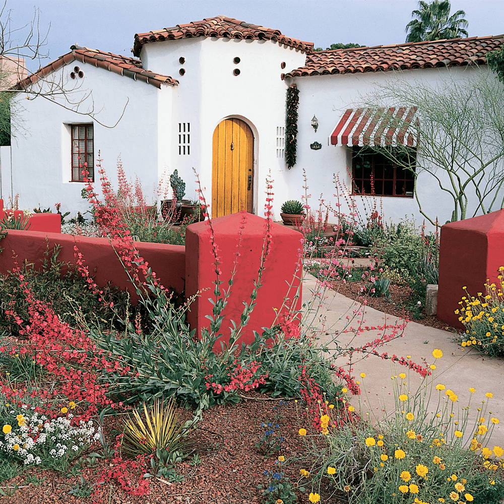 Blog Image Sample